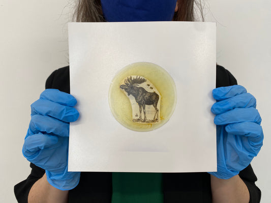 Baroque Biology Petri: Golden Moose