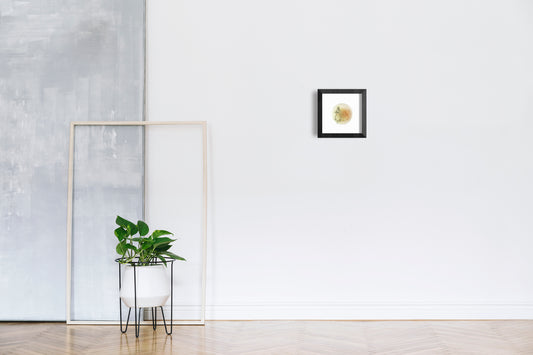 Baroque Biology Petri: Hesitation