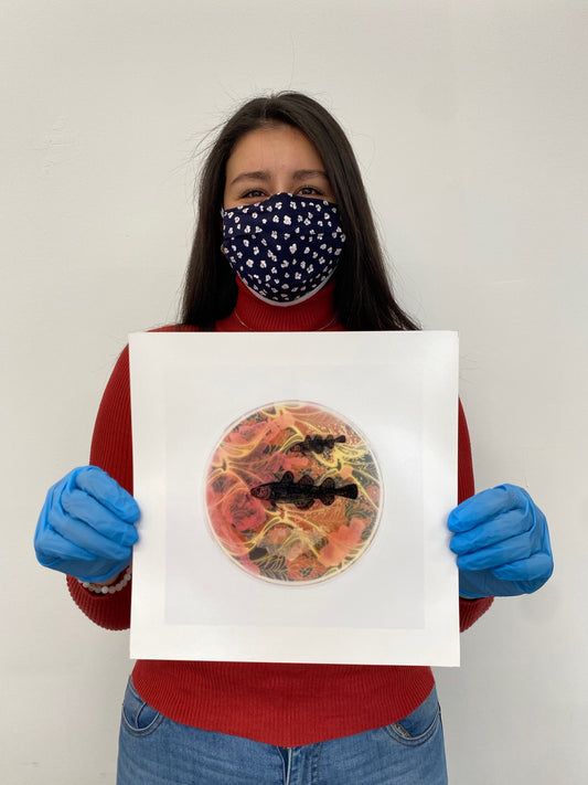 Baroque Biology Petri: Frostfish Brothers