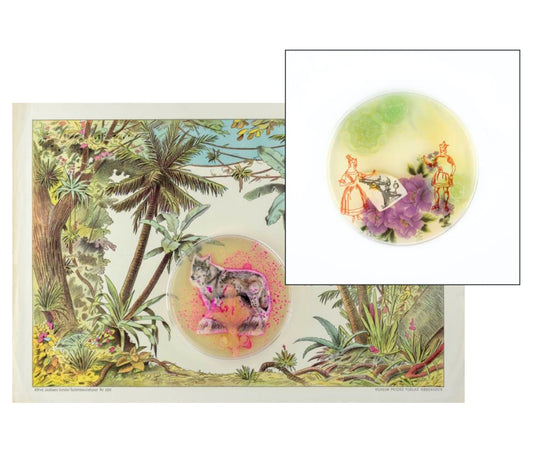 Baroque Biology Paper Theatre Diptych Set 2