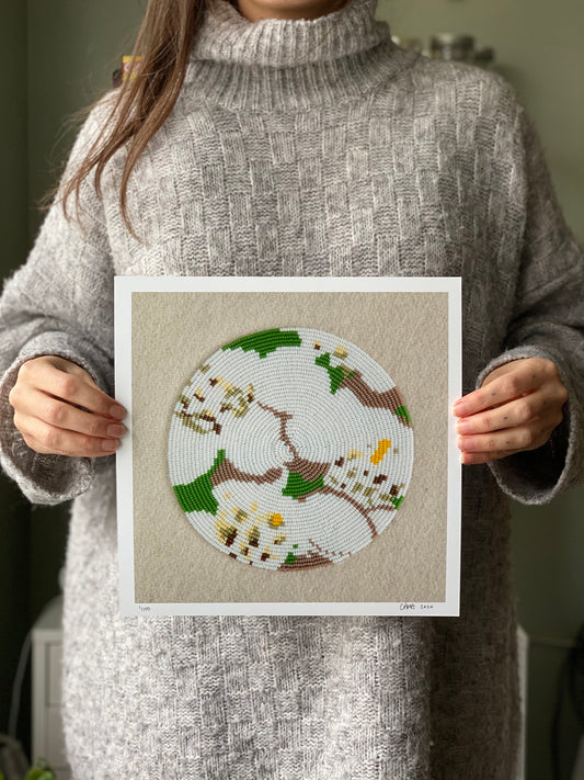 First Family (Common Yarrow)