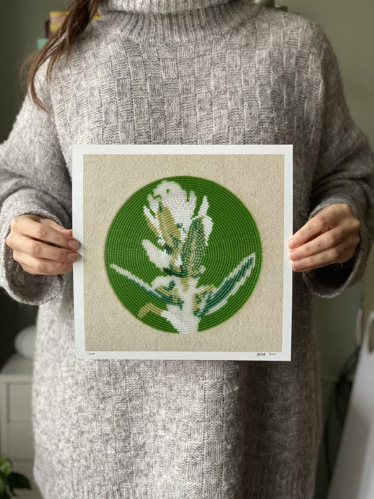 First Family (Artemisia Ludovicina)