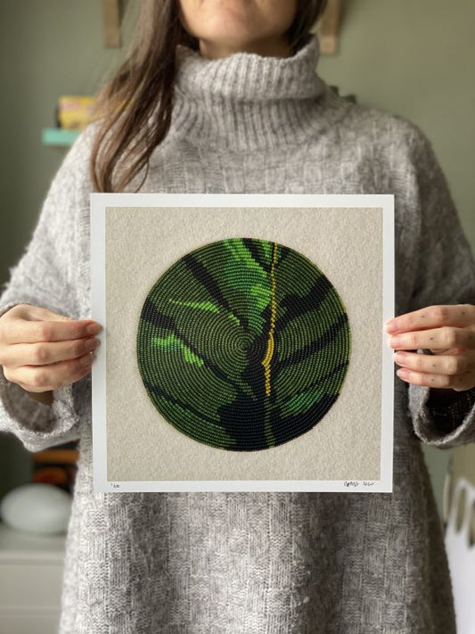 First Family (Amelanchier Alnifolia)