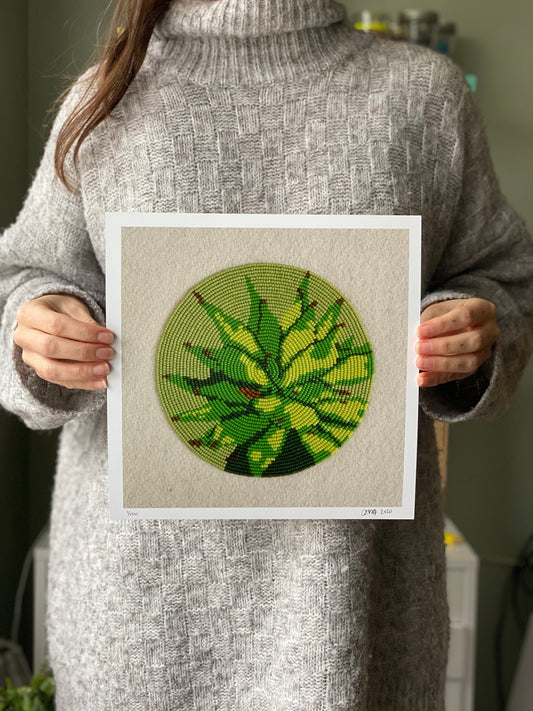 First Family (Anemone Canadensis)