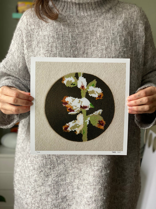 First Family (Artemesia Cana)