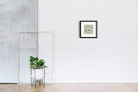 First Family (Common Yarrow)