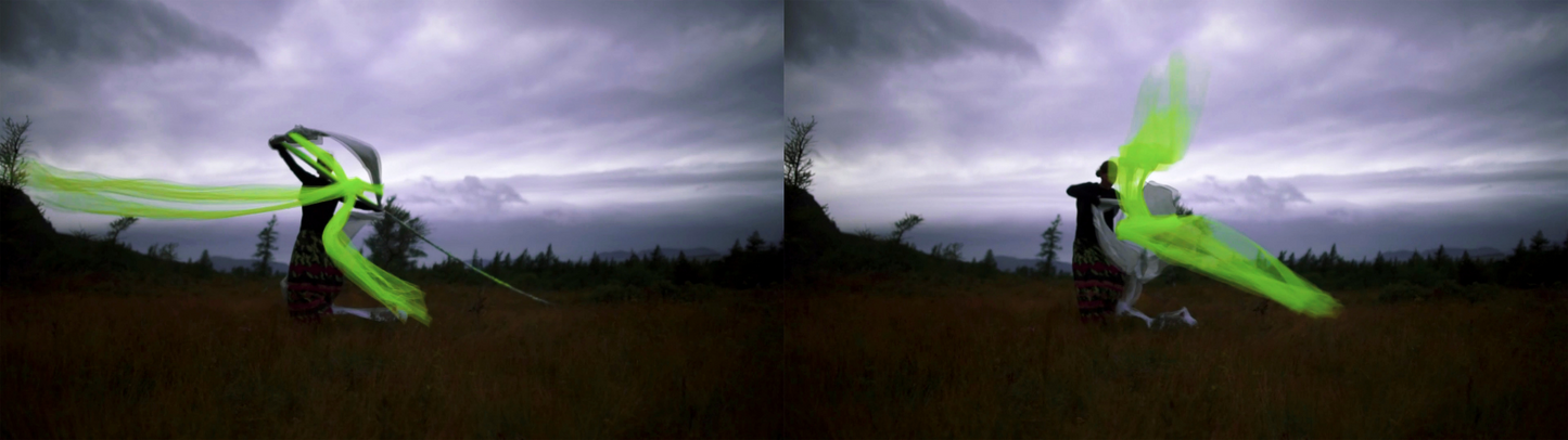 becomes body of water - Diptych Set 1
